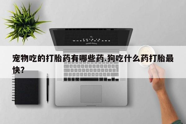 网上哪里有卖打胎药的联系方式宠物吃的打胎药有哪些药.狗吃什么药打胎最快？