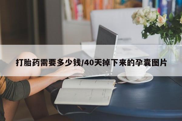 网上哪里有卖打胎药的联系方式打胎药需要多少钱/40天掉下来的孕囊图片